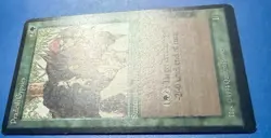 1 BANNED MTG | Pradesh G | Legends | 1994 | Magic The Gathering | NM - Image 3