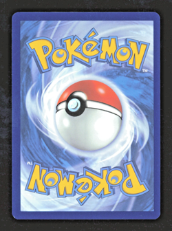 Suicune 026/094 PFL - Knockout Box Exclusive Promo - Pokemon TCG - Image 2