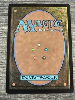 1x The Wandering Rescuer, Borderless Art, Magic the Gathering MTG NM - Image 2