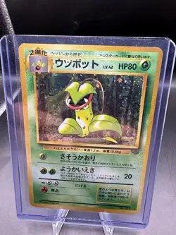 Pokemon TCG Victreebel No. 071 Jungle Holo Rare Japanese US Seller LP - Image 1