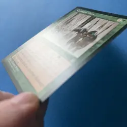 MTG Magic the Gathering Constant Mists Stronghold Regular Card - Image 2