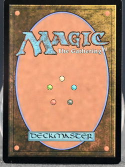 MTG Magic the Gathering Island (7/10) Judge Academy Gift Cards 2023 NM FOIL - Image 2