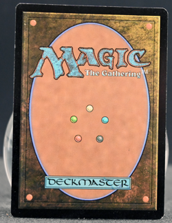 MTG Magic the Gathering Swamp (8/10) Judge Academy Gift Cards 2023 LP FOIL - Image 2