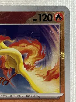Moltres R 146/165 Master Ball Mirror sv2a Pokemon Card 151 Japanese 2023 (NM) - Image 3