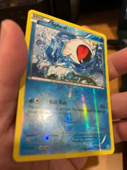 Pokemon TCG Spheal (45/160) - Reverse Holofoil - XY - Primal Clash - NM - Image 3