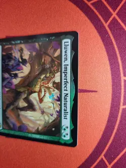Lluwen, Imperfect Naturalist (NM) Lorwyn Eclipsed MTG Discount: 5+ Magic Singles - Image 3