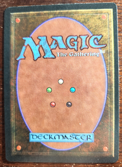 MTG - Legends - 1994 - Livonya Silone - Unplayed - But has light edge wear. - Image 3