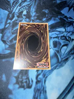 Yu-Gi-Oh! Dark Magician Girl the Magician’s Apprentice Secret Rare ALIN-EN004 - Image 2