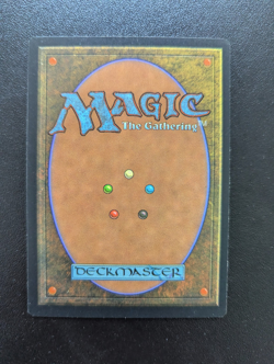 Shallow Grave - Mirage - MTG Magic the gathering - EX/LP - Image 2