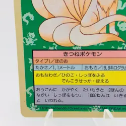 Pokemon Cards Bandai Topsun Ninetales No.038 Blue Back 1997 NM Japanese h34 - Image 4