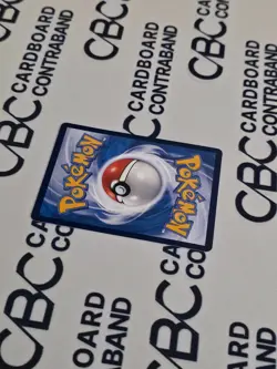 Pokemon S-Chinese Pikachu 002/SV-P – 2025 Championships Celebration Promo (MP) - Image 4