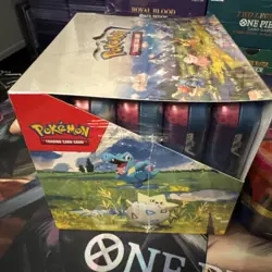 Pokemon TCG - Ascended Heroes - Mini Tins CDU (10 Tins) - Brand New Sealed - Image 3