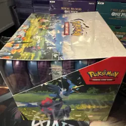 Pokemon TCG - Ascended Heroes - Mini Tins CDU (10 Tins) - Brand New Sealed - Image 4