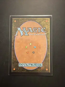 Aang's Shelter - Teferi's Protection (Borderless) Avatar: Eternal-Legal Regular - Image 2