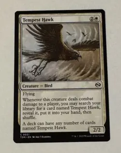 MTG Tempest Hawk - Tarkir: Dragonstorm LP - Image 1