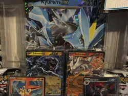 SEALED Pokemon TCG: Unova Heavy Hitters Premium Collection - Costco Exclusive! - Image 2