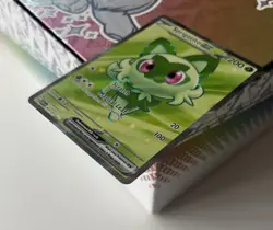 💚 Sprigatito EX 251/217 Illustration Rare IR NM ENG Ascended Heroes Pokemon TCG - Image 5