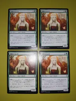 JAPANESE Paradise Druid x4 War of the Spark 4x Playset Magic the Gathering MTG - Image 1