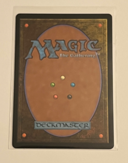 MTG Underground Mortuary - Borderless - Murders at Karlov Manor - #333 - Image 2