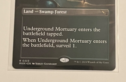MTG Underground Mortuary - Borderless - Murders at Karlov Manor - #333 - Image 3