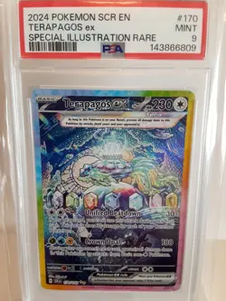 Pokemon Terapagos ex 170/142 Sv07: Stellar Crown Holo SIR PSA 9 - Image 1