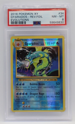 2016 Pokemon XY Evolutions Reverse Holo #34 - PSA NM-MT 8 - GYARADOS - Image 1