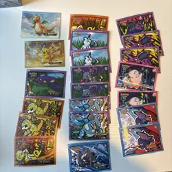 Massive Lot 250+ Cards 2025 Safari Set Pokemon Card Database Holos Hits Etc. - Image 2