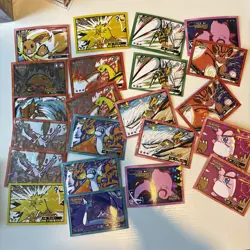 Massive Lot 250+ Cards 2025 Safari Set Pokemon Card Database Holos Hits Etc. - Image 5