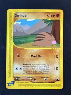 Swinub 108/144 Skyridge Regular Pokemon S47 - Image 1