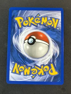 Swinub 108/144 Skyridge Regular Pokemon S47 - Image 2