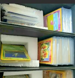 Vintage 1st Edition Pokemon Cards: 💯 WOTC ‼ Read Description ‼ - Image 5