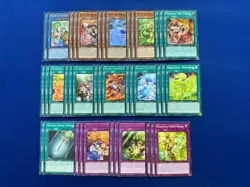 Yu-Gi-Oh! - Complete Mikanko Ritual Deck - Image 1