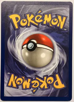 Pokemon Eevee 51/64 Jungle 1st Edition Regular NM - Image 2