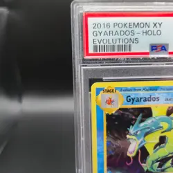 Gyarados 34/108 Pokemon Card - Evolutions: Holo Rare XY - PSA 9 - Image 3