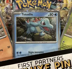 Pokemon TCG: Mega Evolution Ascended Heroes Deluxe Pin Collection Factory Sealed - Image 3