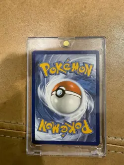 Pokemon TCG Eiscue Holo Art Rare Card 205/193 Sv02: Paldea Evolved - Image 2