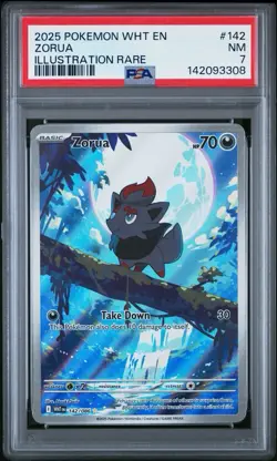 Zorua Pokemon 2025 WHT En-White Flare Illustration Rare Card #142 PSA 7 - Image 1