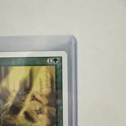 Regrowth MTG Unlimited Uncommon Green Sorcery Slightly Played x1 GG5 - Image 5