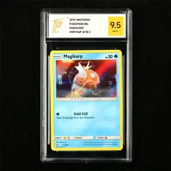 TQG 9.5 MINT+ 2019 Pokemon ENG Magikarp 8/18 C - Image 1