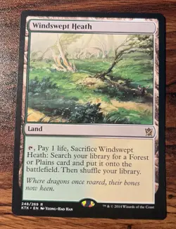 1X MTG Windswept Heath Khans of Tarkir Near Mint+ X1 - Image 1