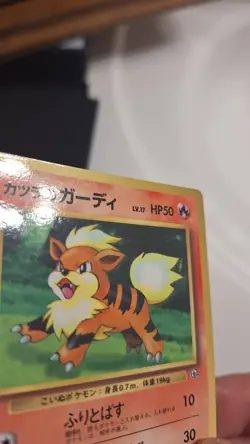 LP - Pokemon Japanese CoroCoro Comic Blaine's Growlithe No. 058 Glossy Promo - Image 3