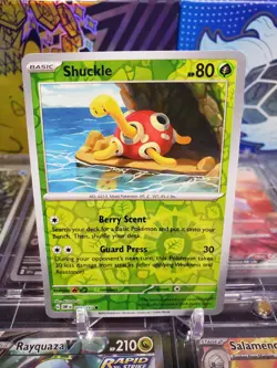 Shuckle 005/197 Reverse Holo Common Pokemon TCG S&V Obsidian Flames - Image 1