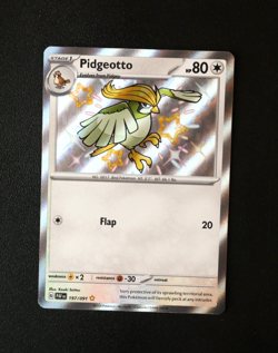 Pokemon Card TCG - Pidgeotto 197/091 - Paldean Fates - Baby Shiny Rare - NM ⭐ - Image 1