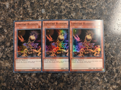 Yugioh 3x Lonefire Blossom - Playset - AC18-EN017 - Super Rare - NM - Image 1