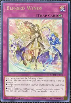 Blessed Winds CHIM-EN074 Chaos Impact 1st Edition - Yugioh Card - Image 1