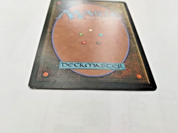 MTG Wirewood Symbiote Scourge Regular Uncommon - Some Edge Wear - See Pics - Image 4