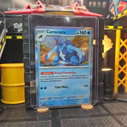 Carracosta Stellar Crown Holo Pokemon TCG 038/142 Scarlet & Violet SV07 Rare - Image 3