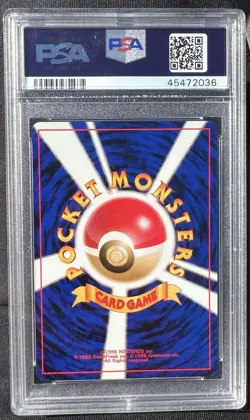 Pokemon Touch Generation Change! Promo Set PSA 10 GEM MINT Japanese Vintage TCG - Image 2