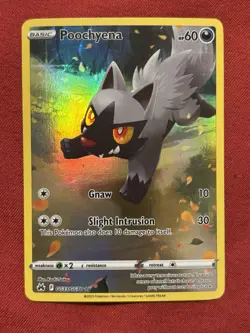 Poochyena GG33/GG70 Crown Zenith Galarian Gallery Full Art Holo Pokemon Card NM - Image 1
