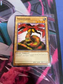 YUGIOH - SNAKEYASHI - COMMON - OP05 - NM - Image 1